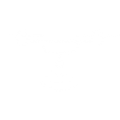 drone (1)