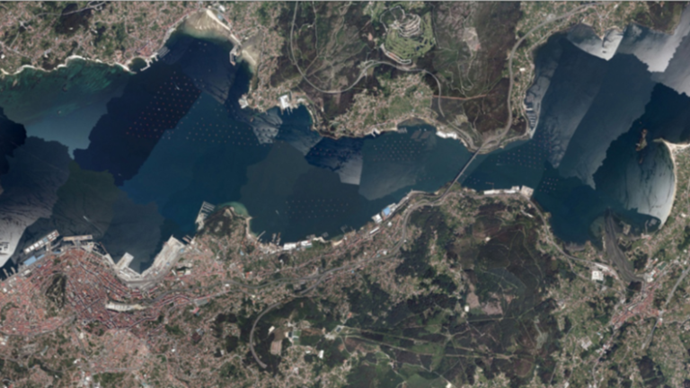 PXOM VIGO 2025